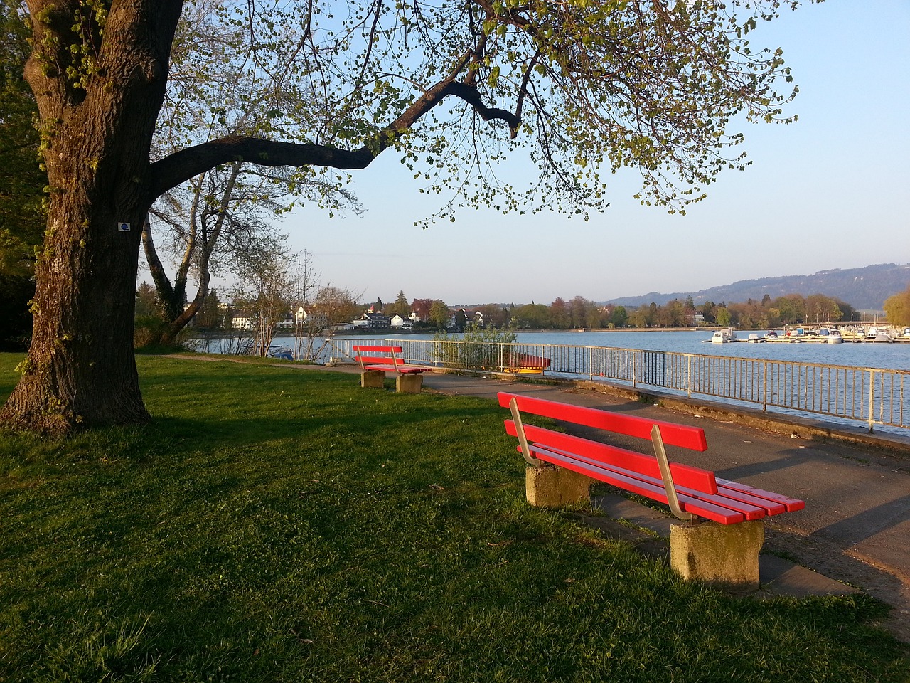 他对旋转的 他对旋转的