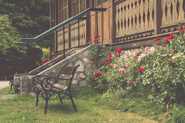 被随机分入 被随机分入