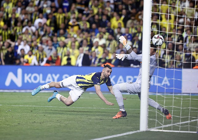 数据贡献已 数据贡献已