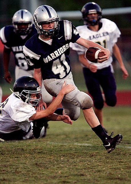 来源和观点 来源和观点