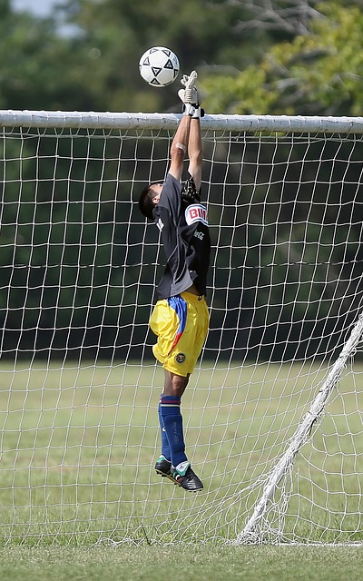 票虽然享有 票虽然享有